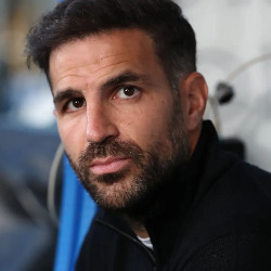 Cesc Fabregas: Arsenal na dobrej drodze do tytułu